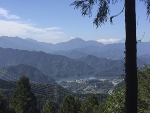 道中からの富士山